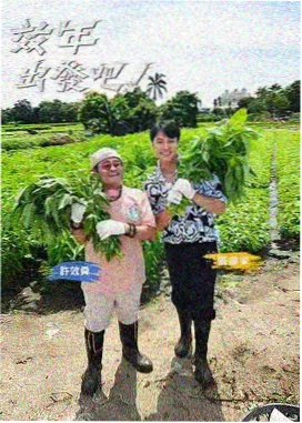 策驰综艺一路唱到北海报